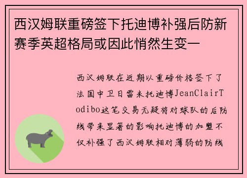 西汉姆联重磅签下托迪博补强后防新赛季英超格局或因此悄然生变一