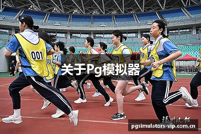 关于Pg模拟器